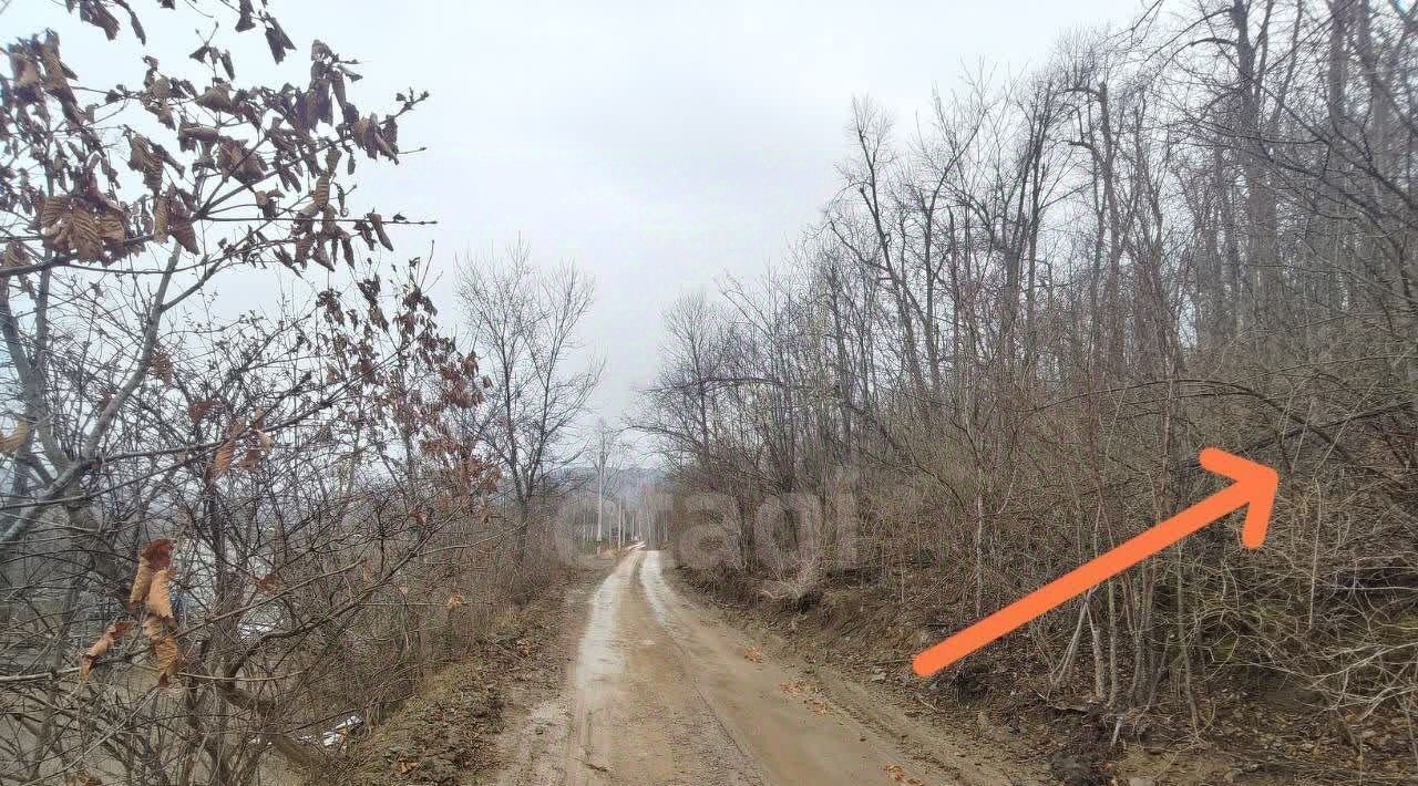 земля г Владивосток п Трудовое снт Ромашка Синяя сопка массив, 707 фото 4