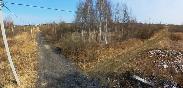 территория СОСН Изыскатель фото