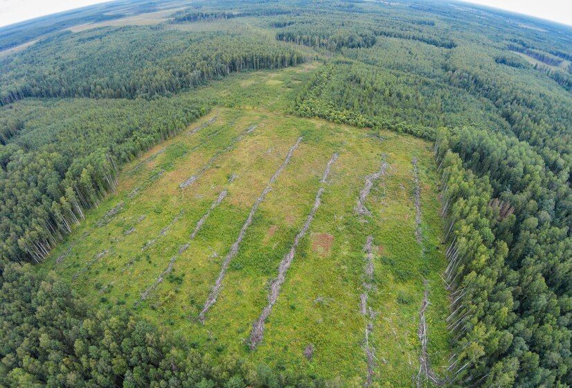 земля городской округ Богородский г Ногинск 38 км, Горьковское шоссе фото 2