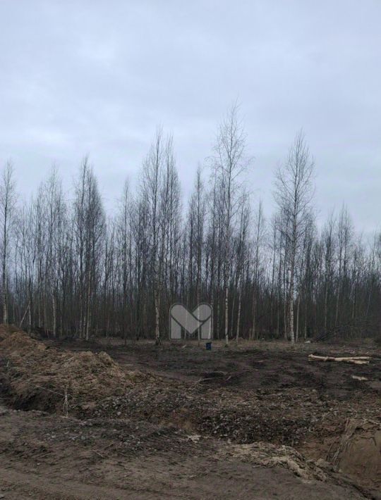 земля р-н Всеволожский г Всеволожск Проспект Большевиков фото 2