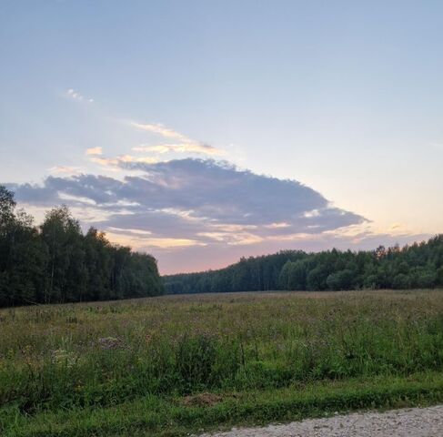 ул Новосеменковская фото