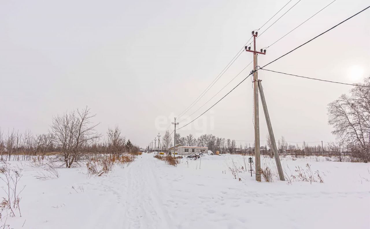 земля г Бердск Бердское шоссе, ТЛПХ Любавино фото 23