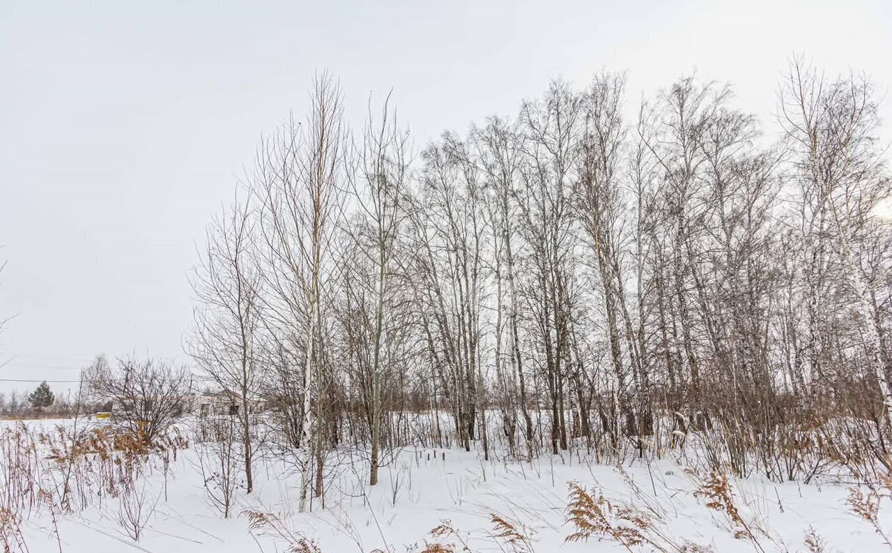 земля г Бердск Бердское шоссе, ТЛПХ Любавино фото 31