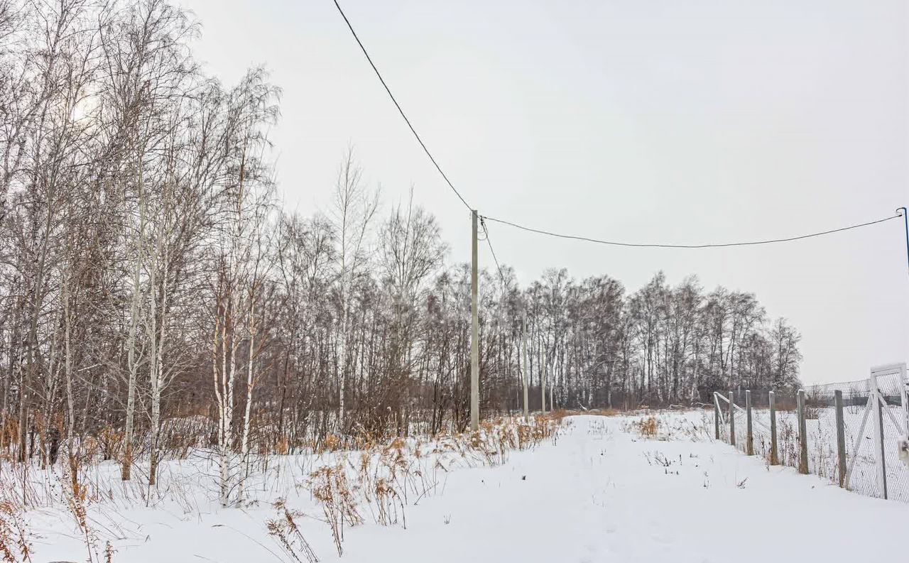 земля г Бердск Бердское шоссе, ТЛПХ Любавино фото 29