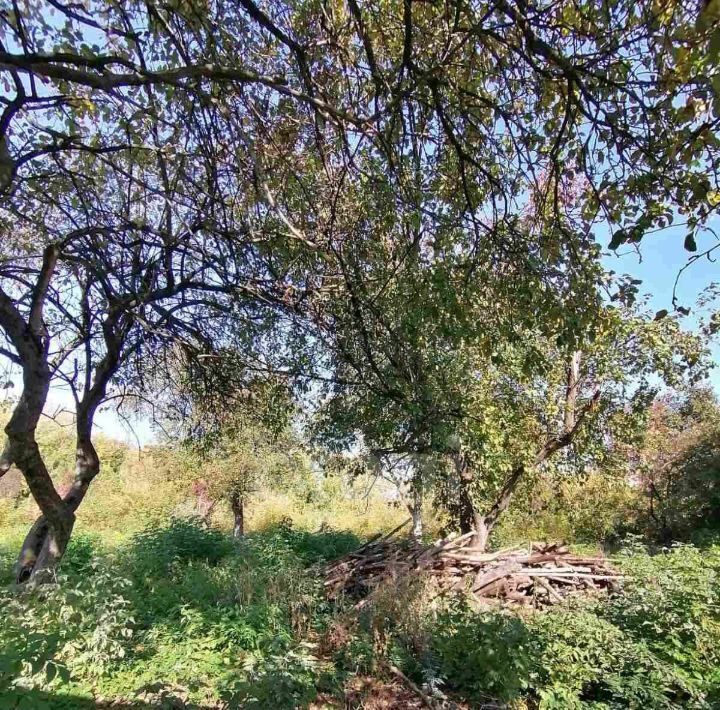 земля г Муром ул Орловская фото 1