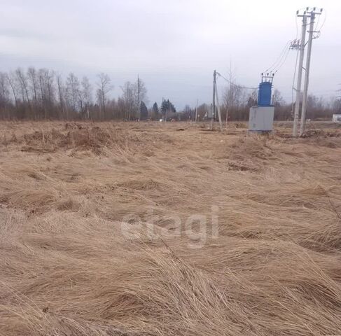ул Южная фото