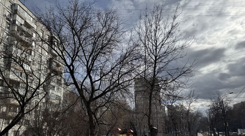квартира г Москва метро Преображенская площадь ул 2-я Пугачевская 7к/1 фото 13