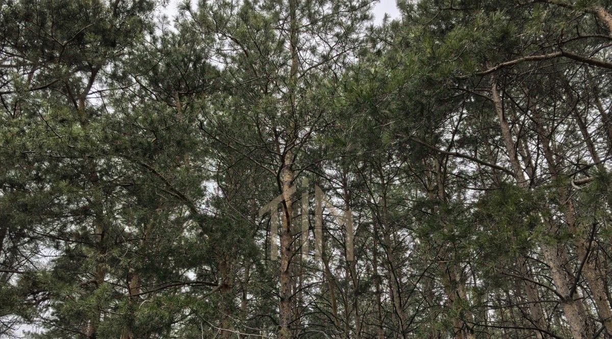 дом г Омск р-н Октябрьский СОСН Строитель-84 тер., аллея 1С, 10 фото 5
