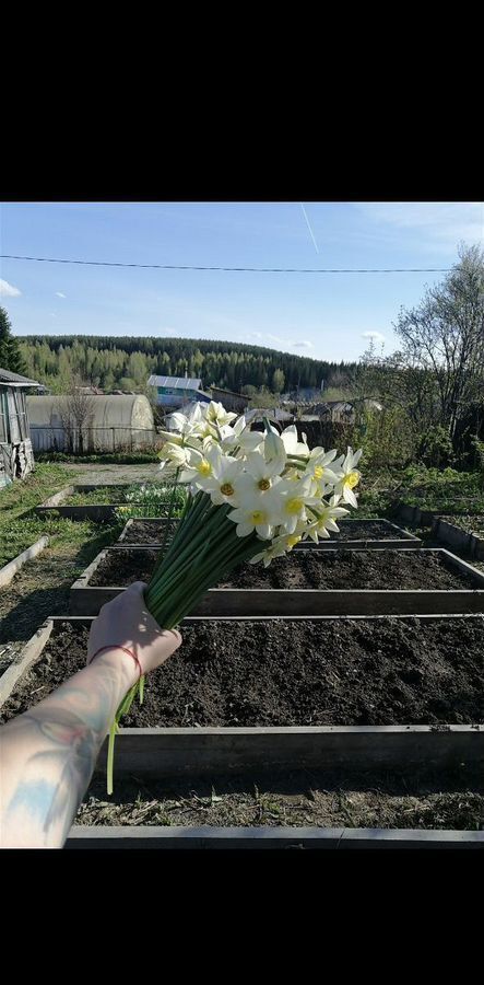 дом г Златоуст снт Ленина-5 ул 6-я 295 фото 1