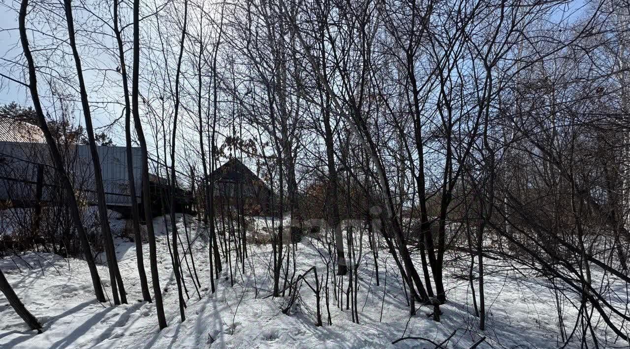 земля г Благовещенск с Плодопитомник фото 2