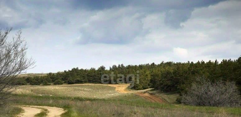 земля г Волгоград р-н Кировский 6 кв-л, 52 фото 4
