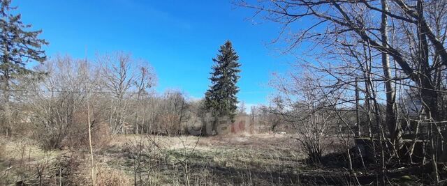 земля 38, Зеленоградский муниципальный округ фото