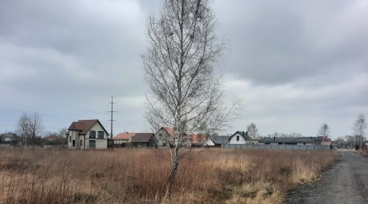 земля р-н Зеленоградский г Зеленоградск ул имени Василия Чернова фото 4