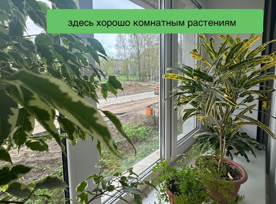 квартира г Ярославль р-н Фрунзенский проезд Матросова 5 фото 16