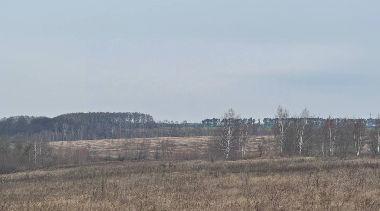 офис г Кашира д Аладьино фото 2