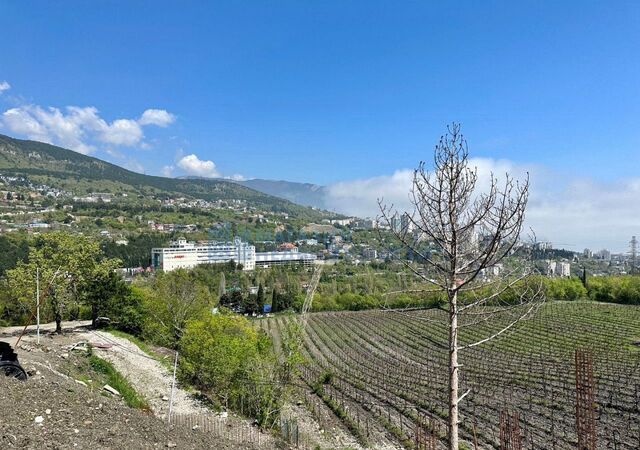 ул Красина фото