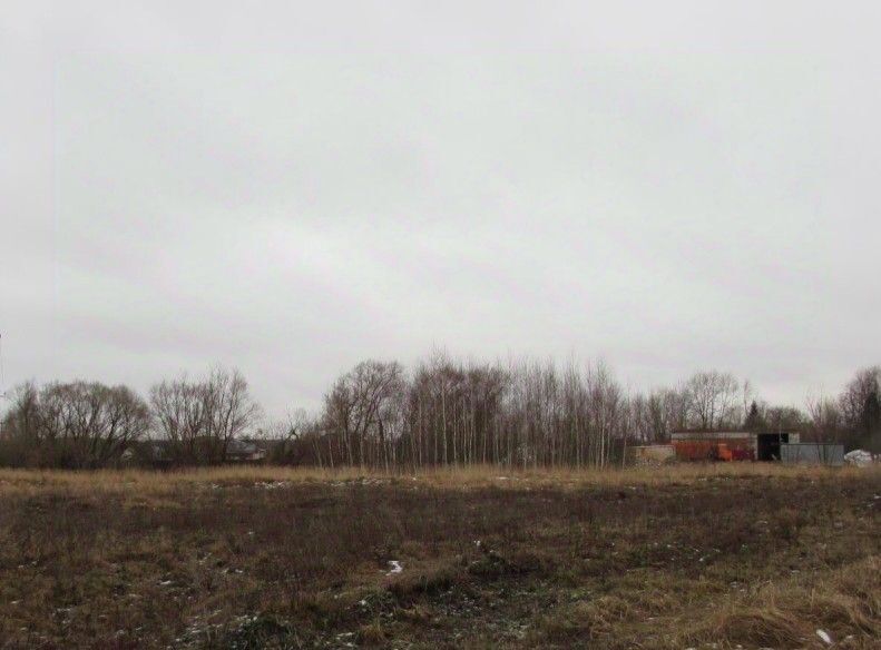 земля г Коломна ул Луговая Озеры фото 2