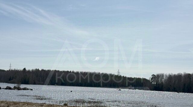 г Выборг р-н Сайменский ул Младших Командиров фото