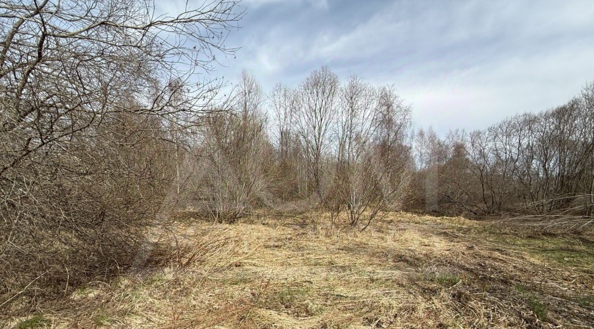 земля р-н Выборгский г Выборг р-н Сайменский ул Младших Командиров фото 5