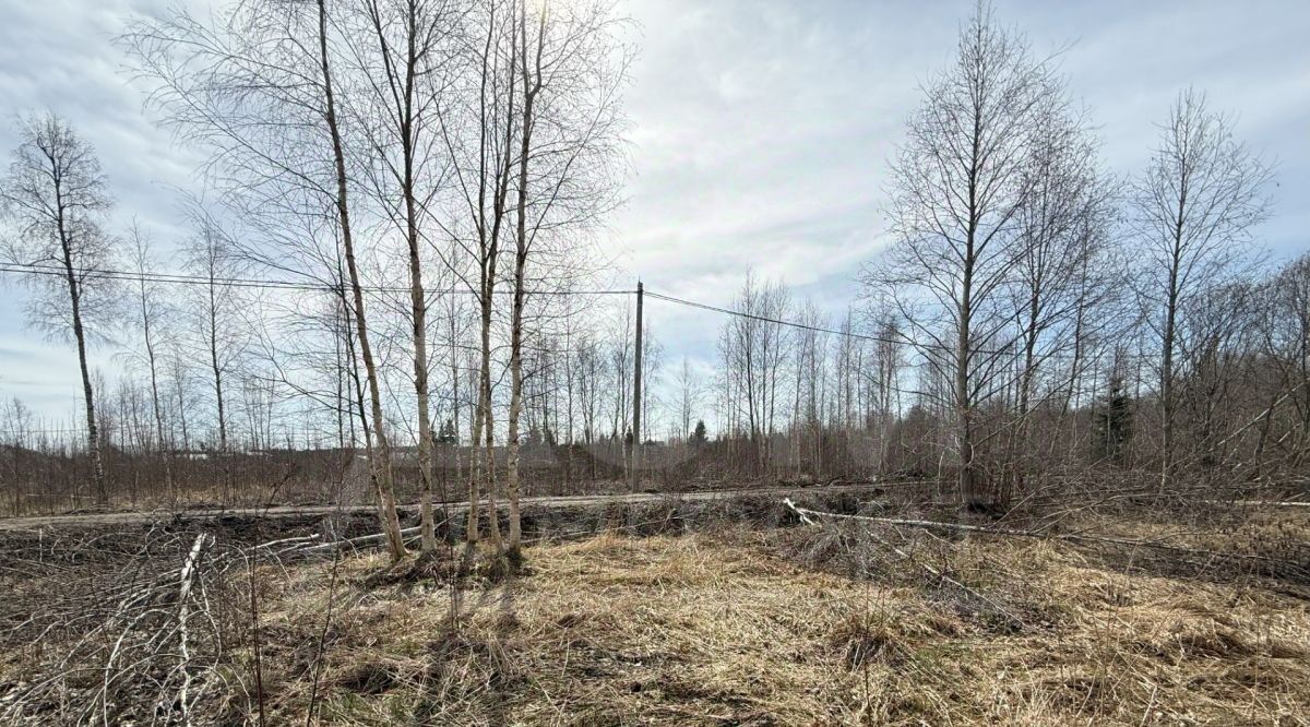земля р-н Выборгский г Выборг р-н Сайменский ул Младших Командиров фото 6