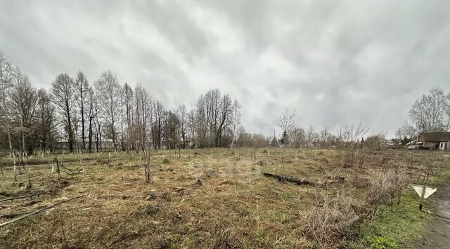ул Прудовая с. Борисоглеб фото