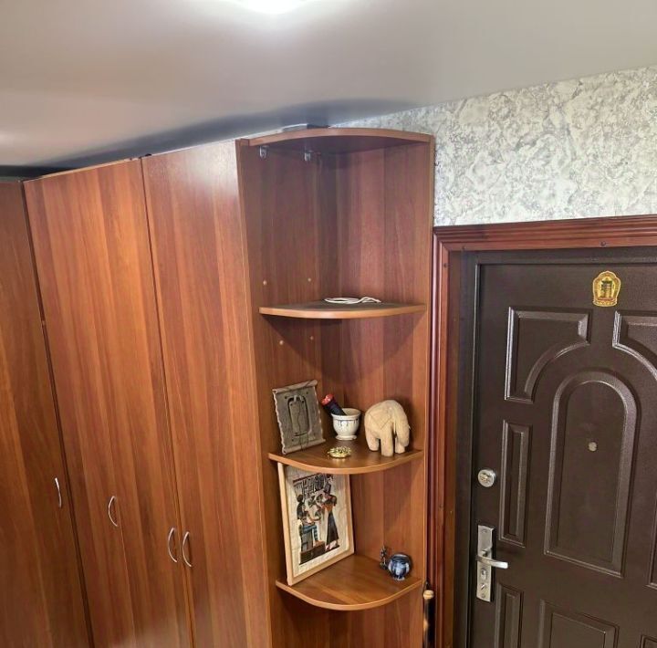 квартира г Нижний Новгород Бурнаковская ул Александра Люкина 4 фото 8