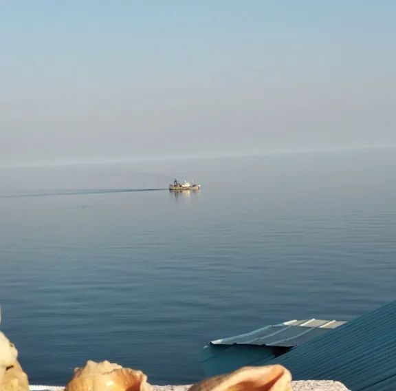 дом г Алушта с Рыбачье ул Лучистая 14 фото 9