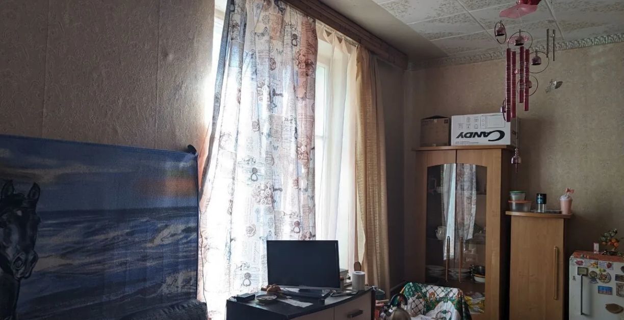 комната г Санкт-Петербург метро Чкаловская ул Пионерская 63 фото 3