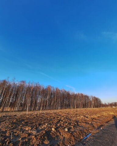 44 км, коттеджный пос. Якшино Лайт, 57, Симферопольское шоссе фото