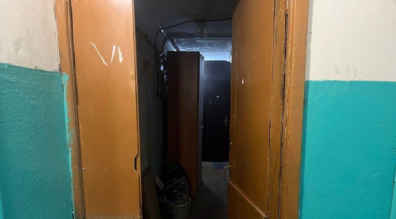 квартира г Воронеж р-н Центральный ул Березовая роща 28/1 фото 10