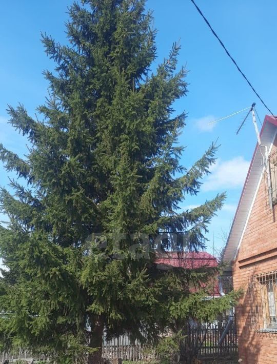 дом г Омск р-н Ленинский ул 1-я Береговая 23 тер.СОСН Маяк-1А фото 1