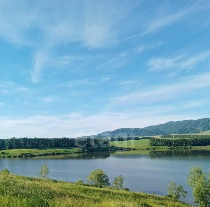 земля г Бийск фото 6
