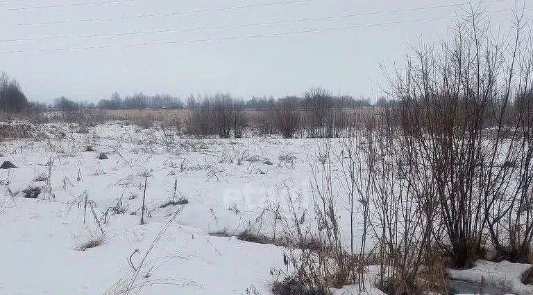 земля г Ярославль р-н Заволжский пер 10-й Маяковского 14 фото 6