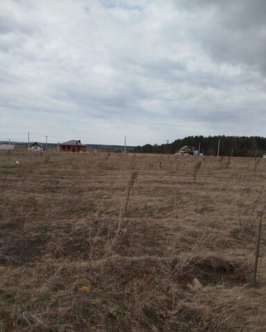 земля Республика Татарстан Татарстан, муниципальное образование Елабуга фото
