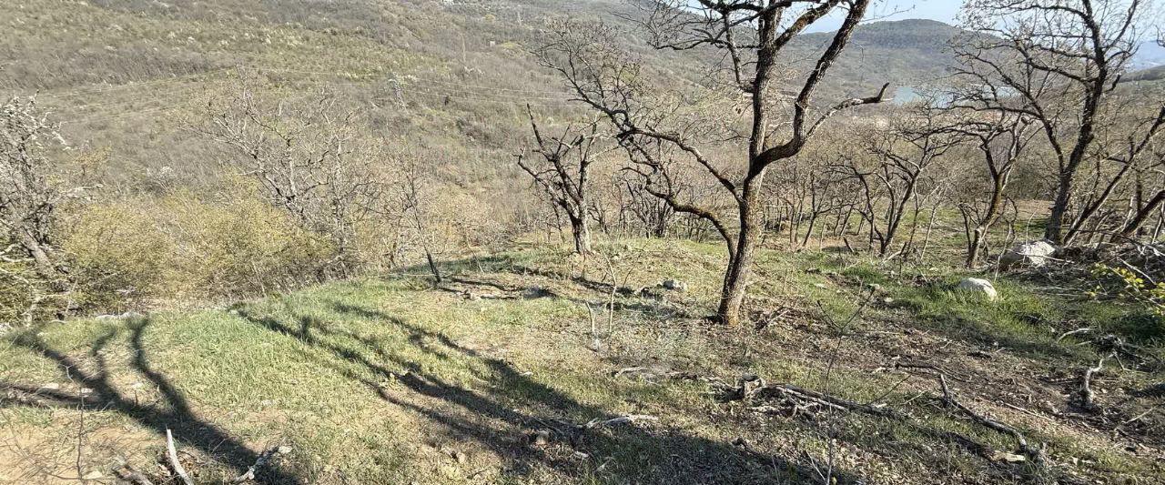 земля г Алушта п Лаванда фото 3