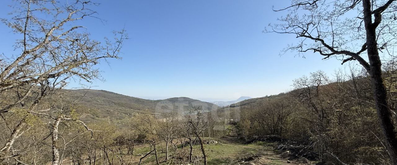 земля г Алушта п Лаванда фото 7