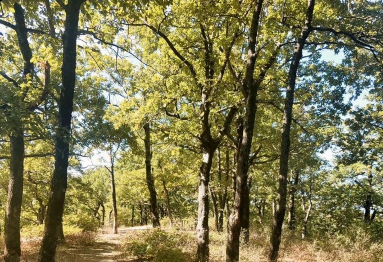 дом р-н Туапсинский г Туапсе снт Дубрава 1, Новомихайловский пгт фото 4