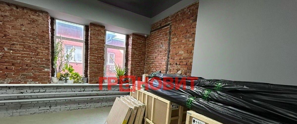 свободного назначения г Новосибирск Маршала Покрышкина ул Фрунзе 19 фото 3