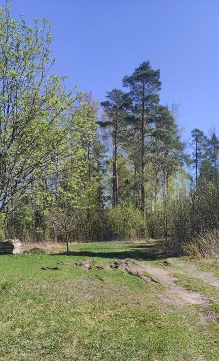 дом р-н Городецкий г Заволжье снт тер.СМУ-2 и Дом Ребенка фото 22