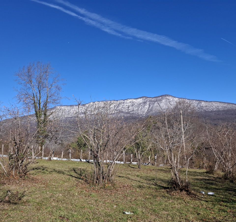 земля г Сочи р-н Адлерский с Ермоловка ул Ермоловская фото 8
