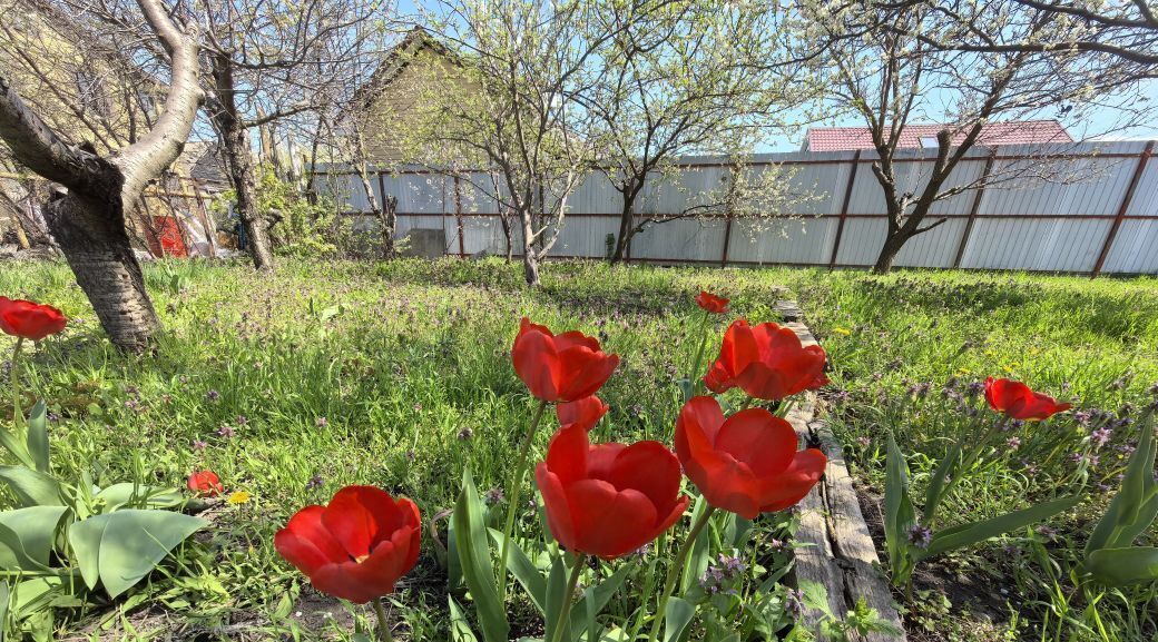земля г Батайск дп Донская Чаша ул Сливовая 601 фото 3