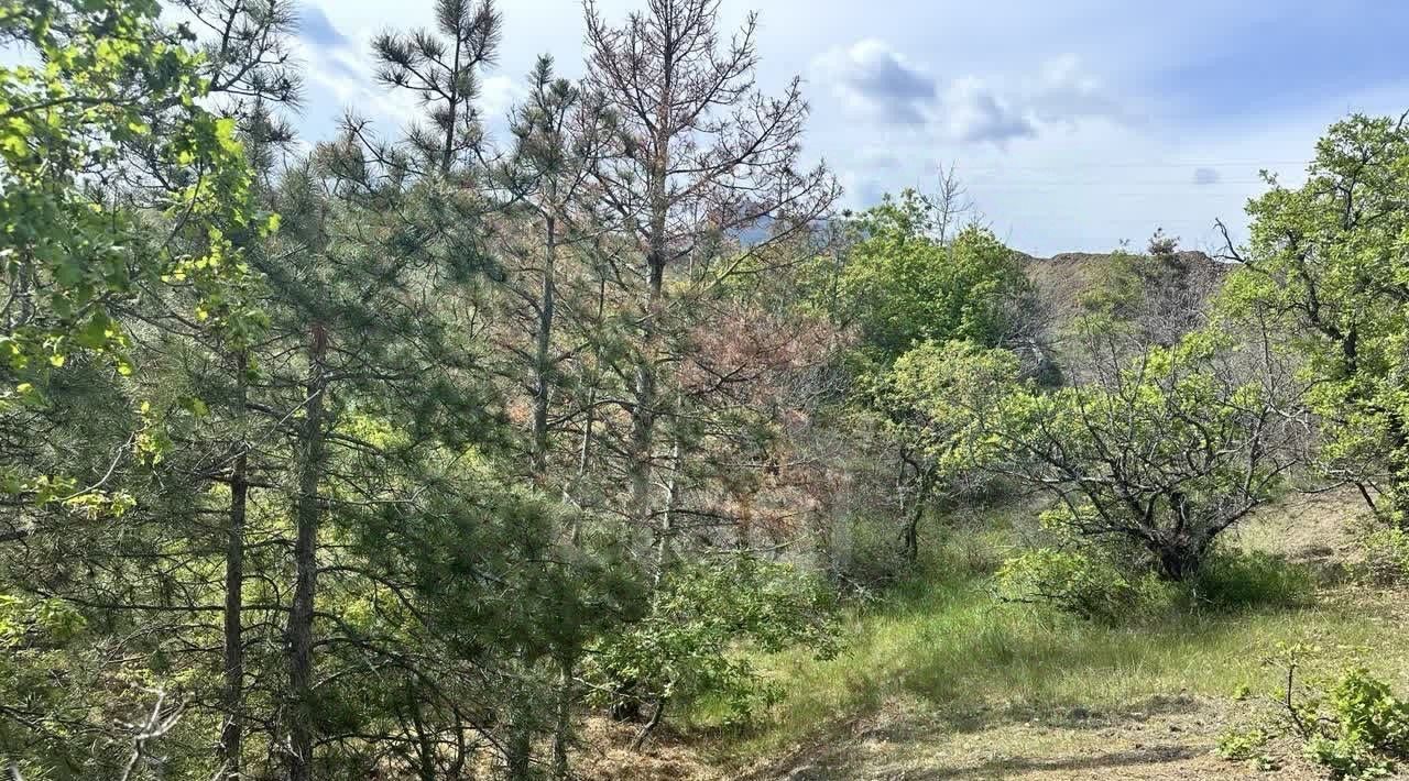 земля г Алушта п Семидворье р-н мкр Надежда 5 фото 5