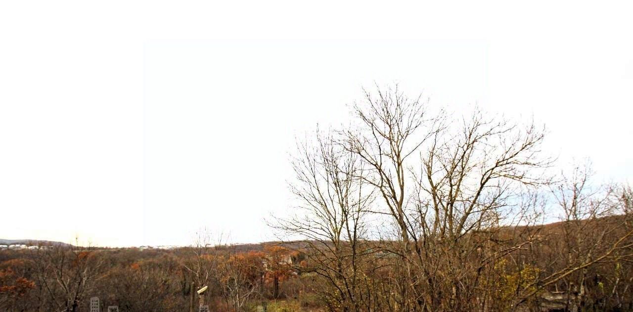 земля г Новороссийск с Васильевка снт Мичуринец-2 фото 21