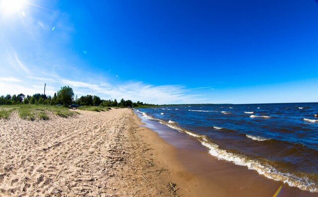 Дорога жизни, 31 км, Рахьинское городское поселение, коттеджный пос. Ладожская Волна, Волховская ул., 8 фото