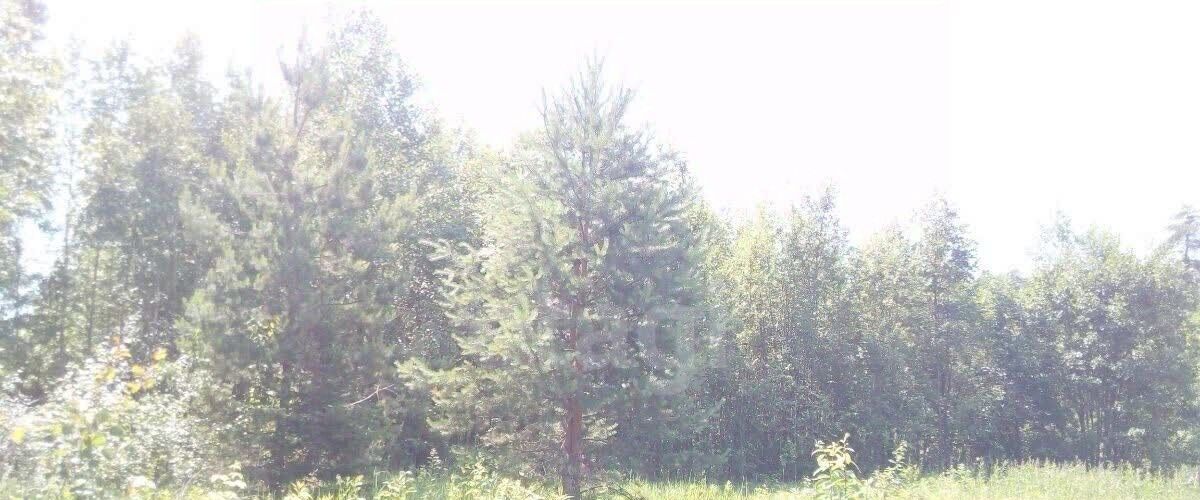 земля г Калуга снт Автомобилист-2 58 фото 4