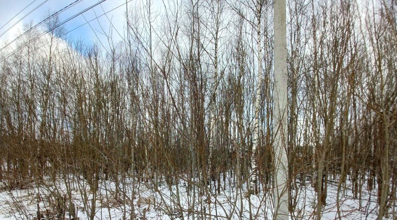 земля городской округ Сергиево-Посадский г Краснозаводск проезд Кленовый фото 1
