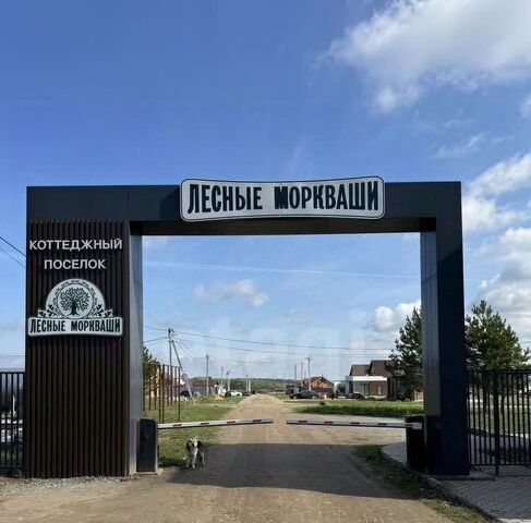 земля дом 20 Набережно-Морквашское с/пос фото
