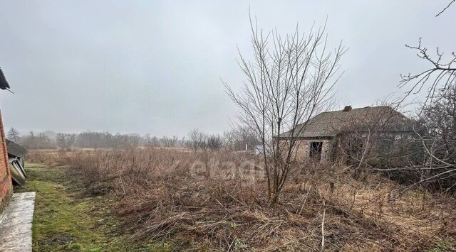 ул Колхозная фото