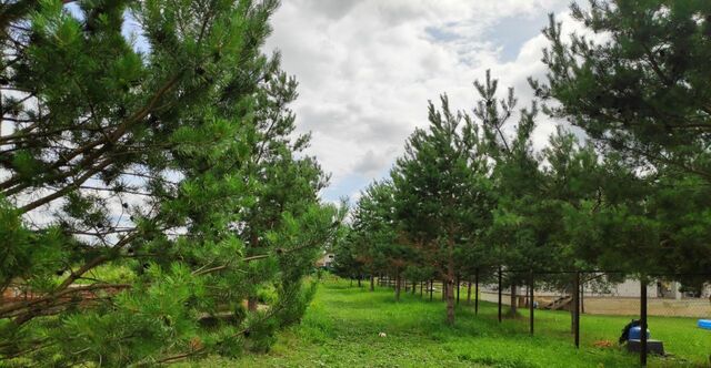 с пос, Совьяки фото