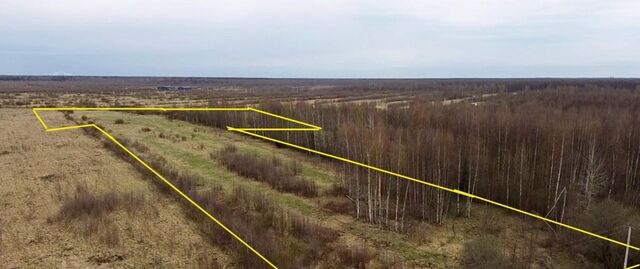 Колтушское городское поселение, Усадьба Луговая кп, Ломоносовская, пер. Луговой, 1 фото